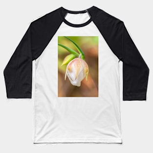 Globe Lily Baseball T-Shirt